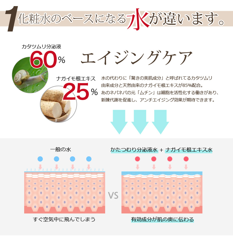 かたつむり分泌液